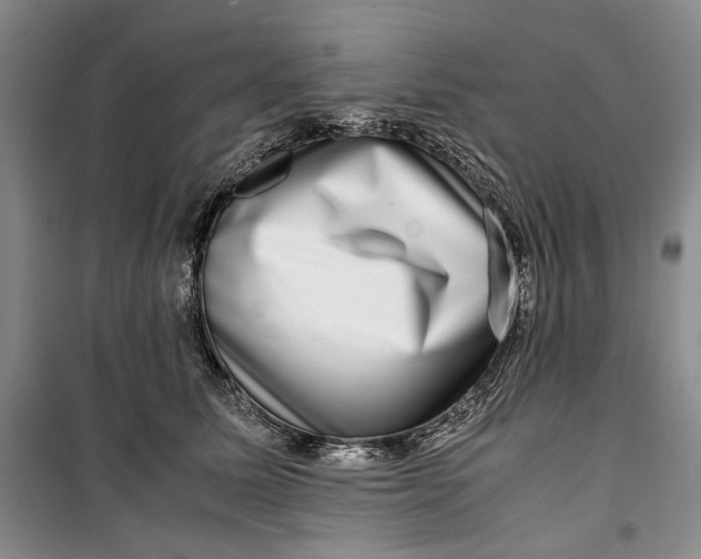 X0000099990611200806131436