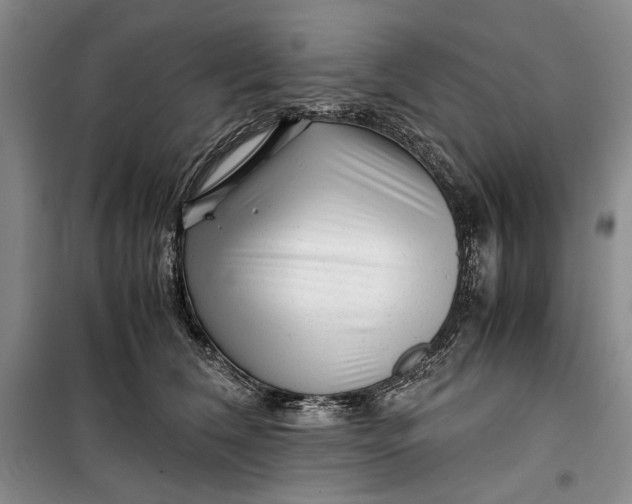 X0000099990612200806131436