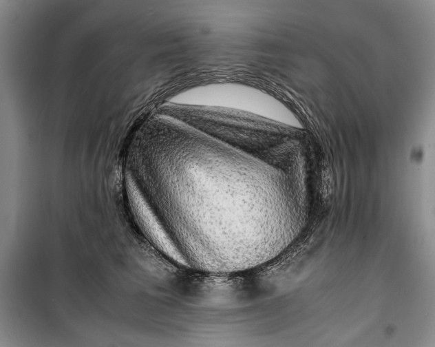 X0000099990613200806131436