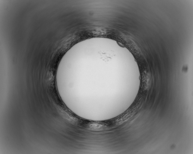 X0000099990614200806131436