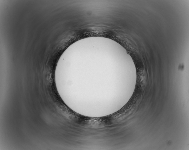 X0000099990615200806131436