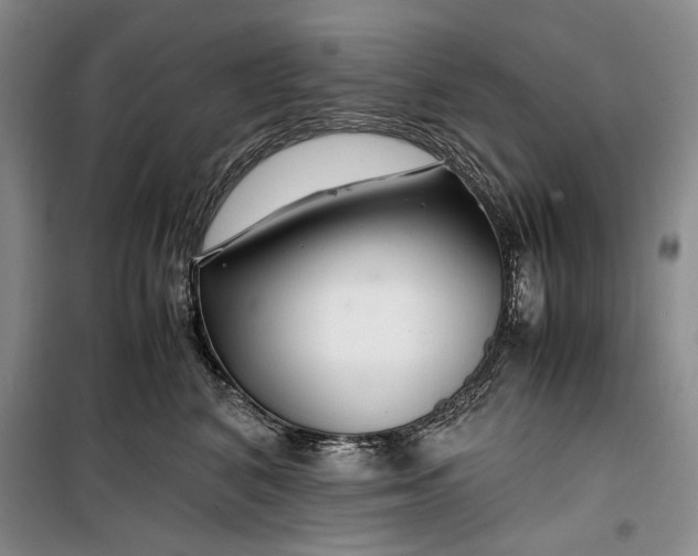 X0000099990616200806131436