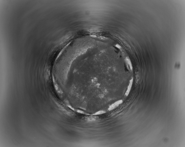 X0000099990618200806131436