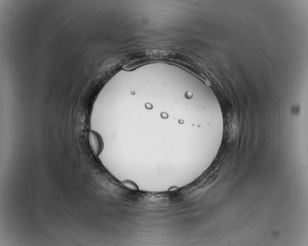 X0000099990619200806131436