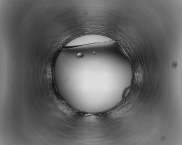 X0000099990620200806131436