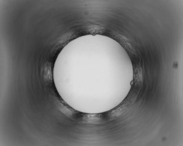 X0000099990622200806131436