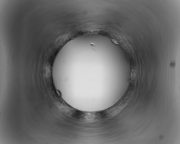 X0000099990623200806131436