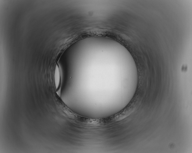 X0000099990624200806131436