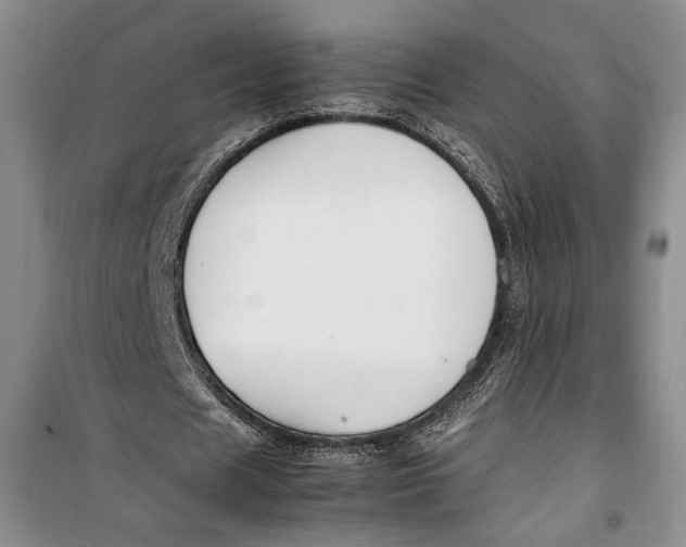 X0000099990625200806131435