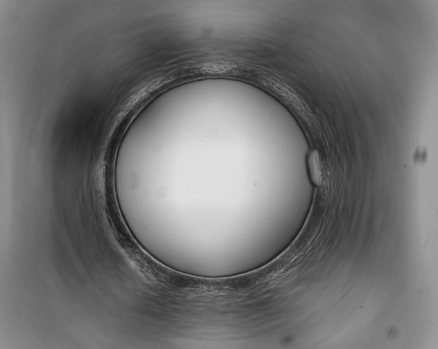 X0000099990626200806131435