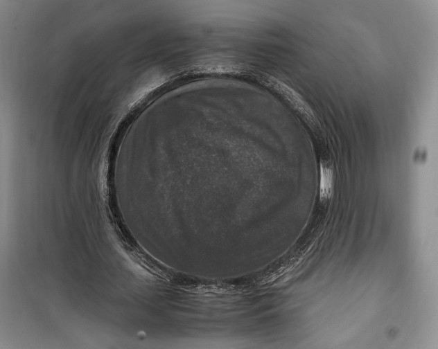 X0000099990627200806131435