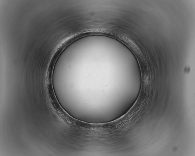 X0000099990628200806131435