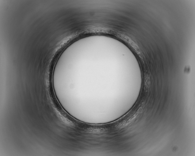 X0000099990629200806131435