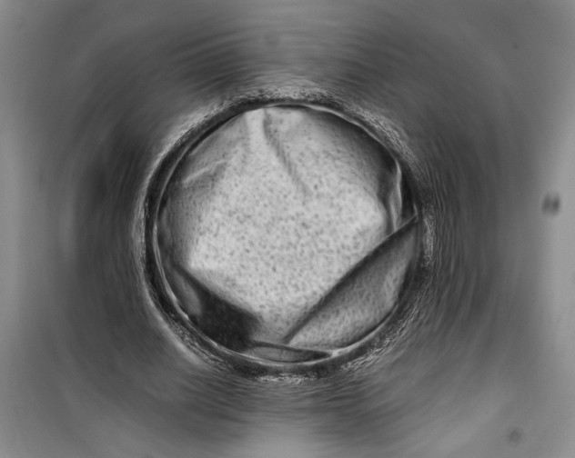 X0000099990630200806131435