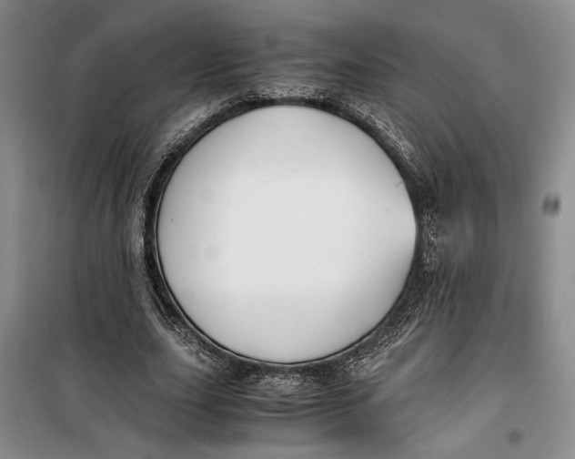 X0000099990631200806131435