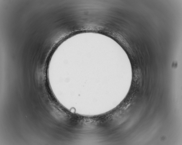 X0000099990632200806131435