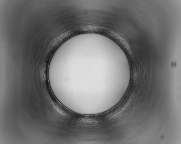 X0000099990633200806131435