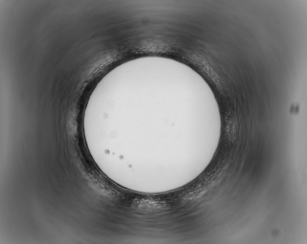 X0000099990635200806131435