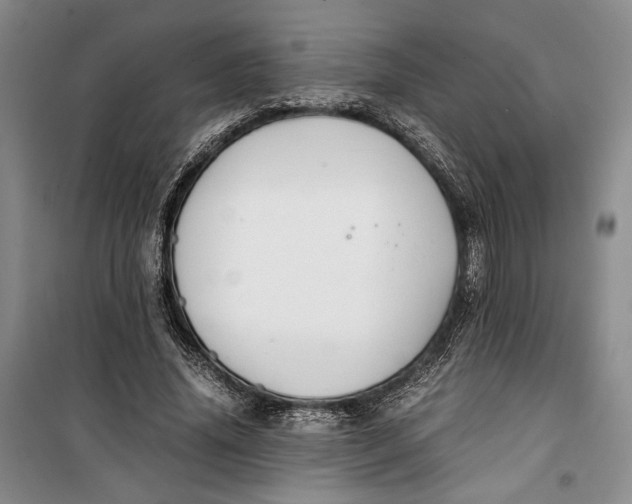 X0000099990636200806131435