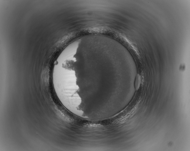 X0000099990637200806131435