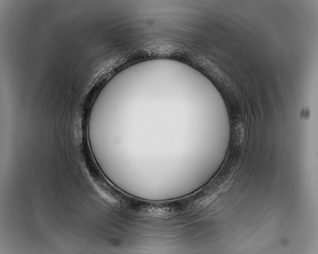 X0000099990638200806131435