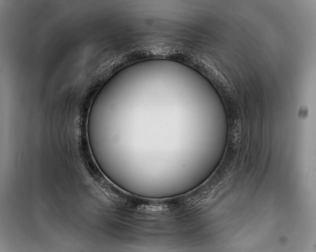 X0000099990639200806131435