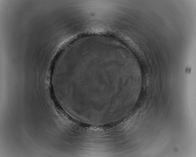 X0000099990640200806131435