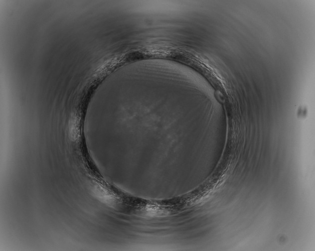 X0000099990641200806131435