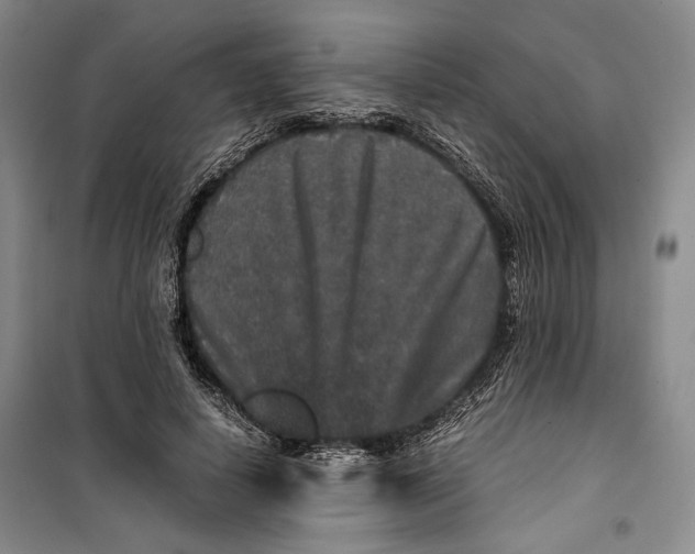 X0000099990642200806131435