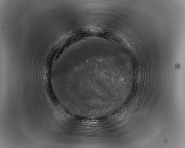 X0000099990643200806131435