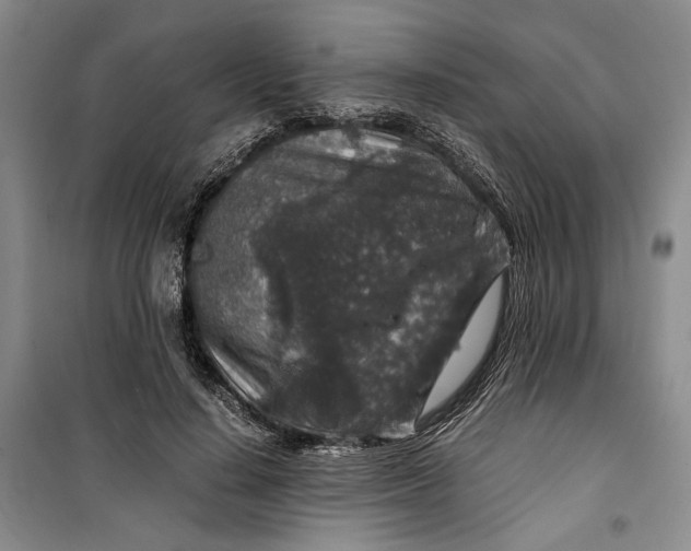 X0000099990644200806131436