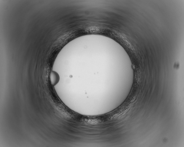 X0000099990645200806131436