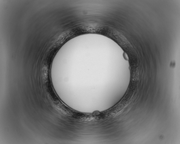 X0000099990646200806131436