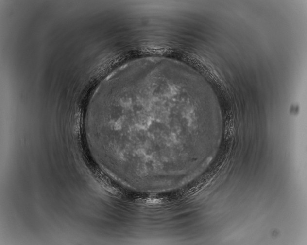 X0000099990647200806131436