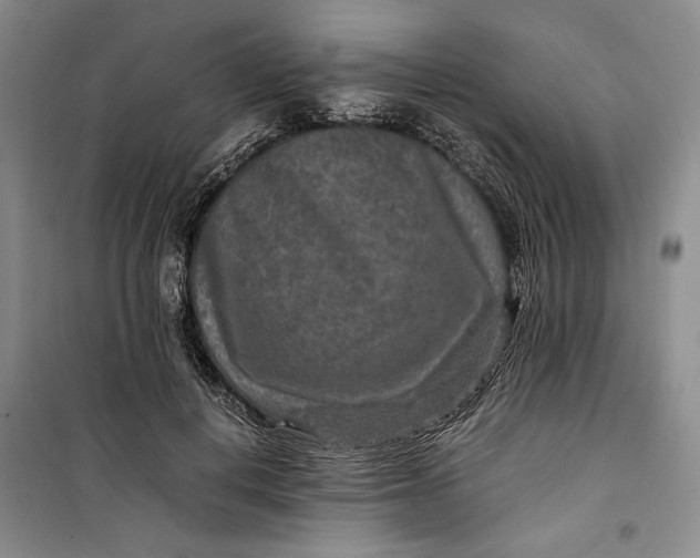 X0000099990648200806131436