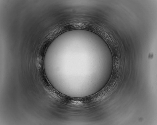 X0000099990649200806131436