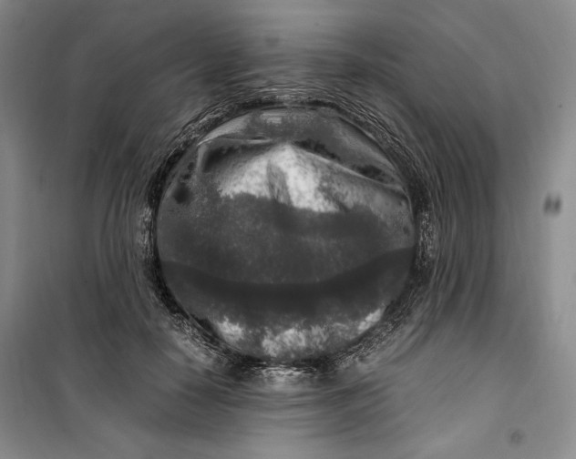 X0000099990650200806131436