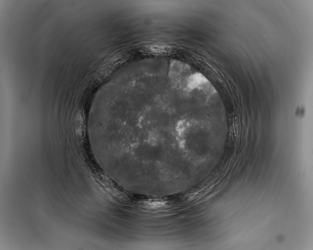 X0000099990651200806131436