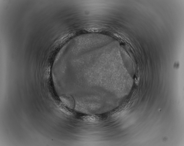 X0000099990652200806131436