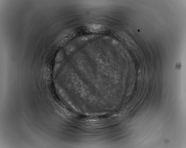 X0000099990653200806131436