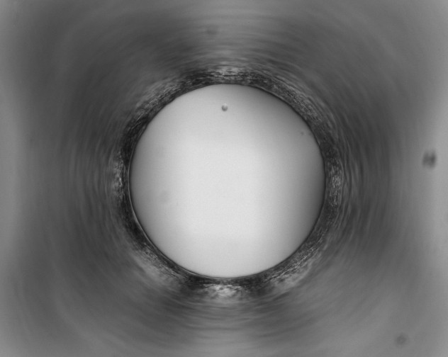 X0000099990654200806131436