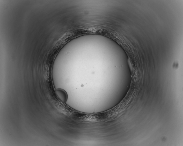 X0000099990656200806131436