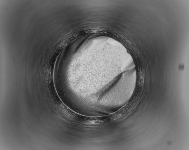 X0000099990657200806131436