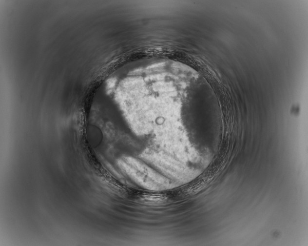 X0000099990659200806131436