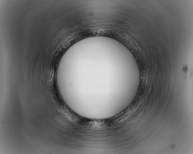 X0000099990660200806131436