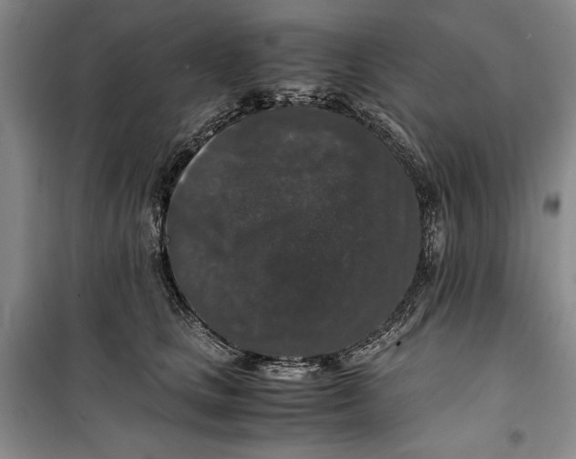 X0000099990661200806131436