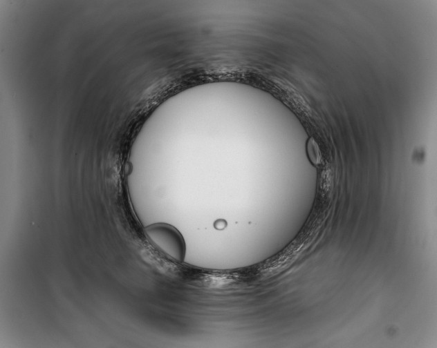 X0000099990662200806131436