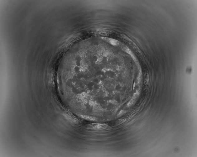 X0000099990663200806131436