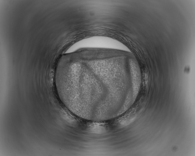 X0000099990664200806131436