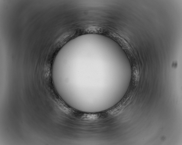 X0000099990665200806131436